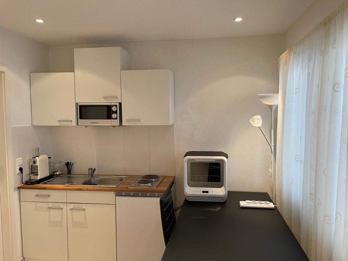 City Apartments Bad Säckingen Eksteriør bilde